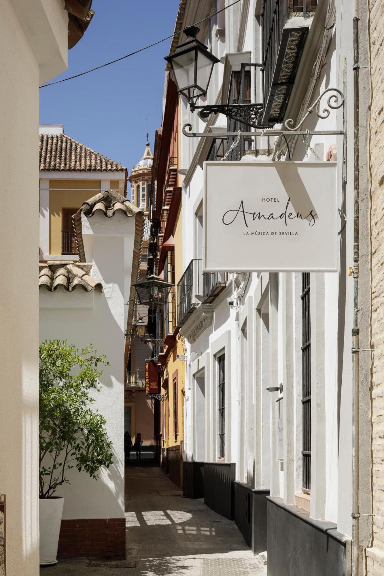 Amadeus Sevilla